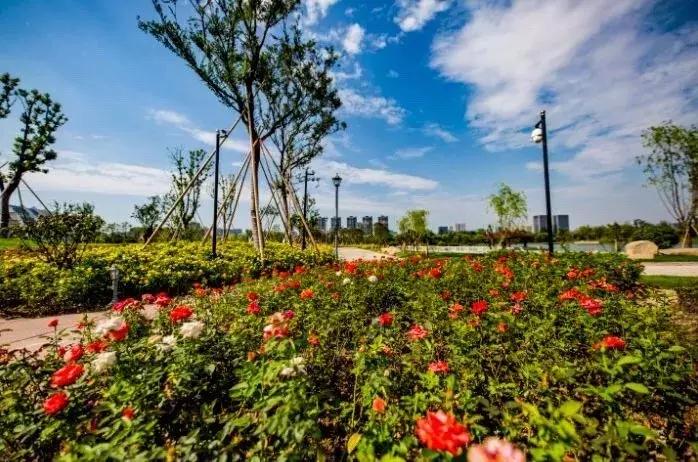 钱江新城球场,杭州钱江世纪城开建600米地标建筑