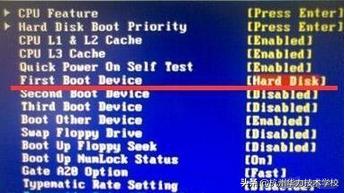 u盘装系统启动进不了pe,u盘装系统进不去bios黑屏