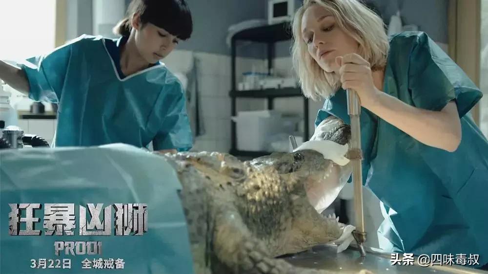 冲这狂野劲儿，特效我给3分，人心解剖我给6分