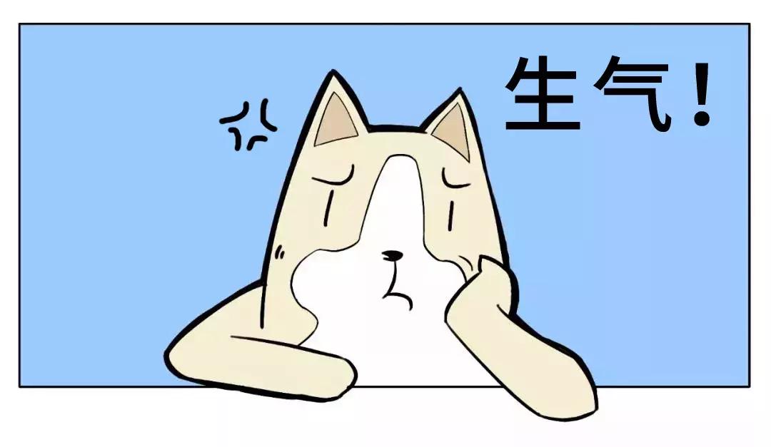 深圳海岸线高清图,深圳比较漂亮的海岸线