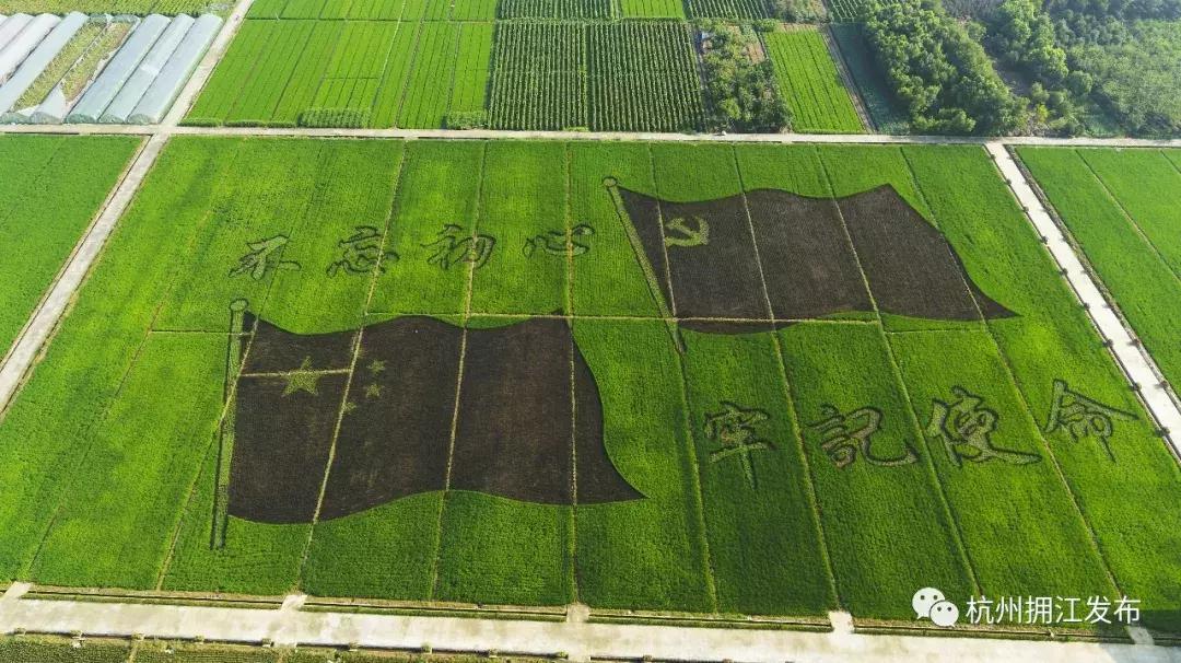 钱塘江画卷,钱塘江画作