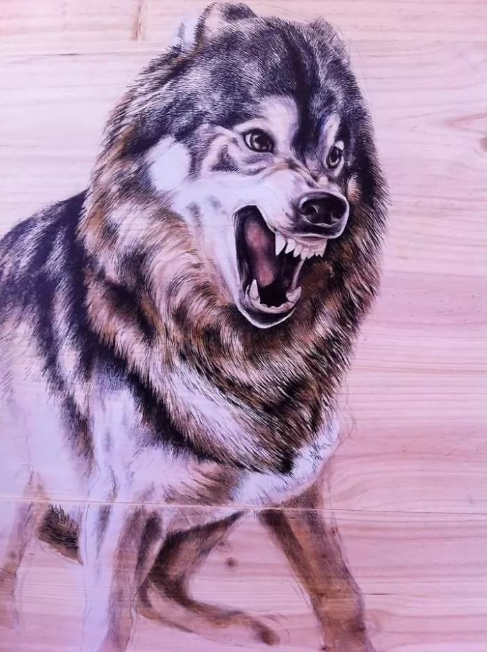 3d超写实彩铅画,超写实彩铅手绘细腻的让人咋舌