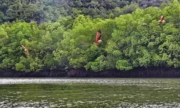 去兰卡威旅游的感受,马来西亚兰卡威旅游攻略