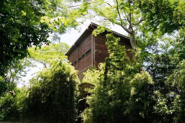 湖泊风景区推荐,深圳十大免费主题公园