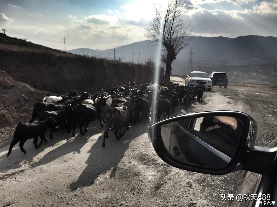 15款迈腾1.8t豪华型0到100提速,15款1.8t迈腾百公里加速多少秒