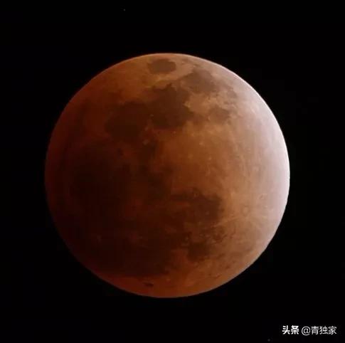 鐕庡師璁″垝,鐕庡師璁″垝瀛︽牎