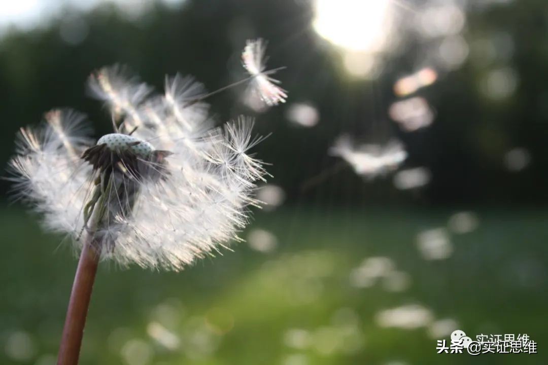 父母是唯一付出不求回报的人,父母的付出从来不讲代价