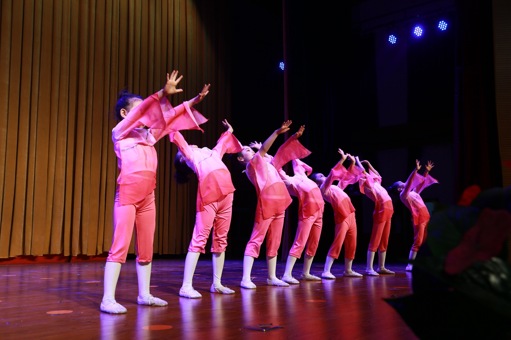 金鸡艺术《舞动人生梦想起航》专场晚会在青少年活动中心演出