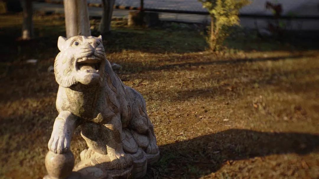 湖北国土资源职业学院单招报名费,湖北国土资源职业学院单招容易吗