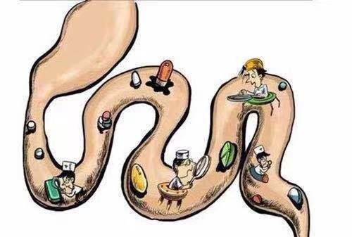 辟谷减肥14天会伤到肠胃吗,辟谷让胃休息一下