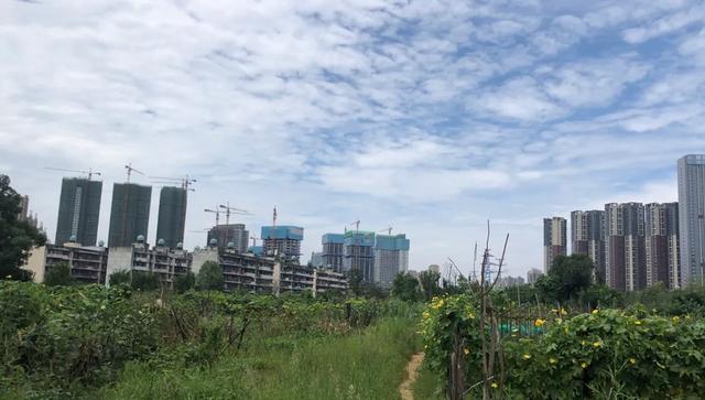 崔家店在成都的什么位置 (成都崔家店最好的地方)