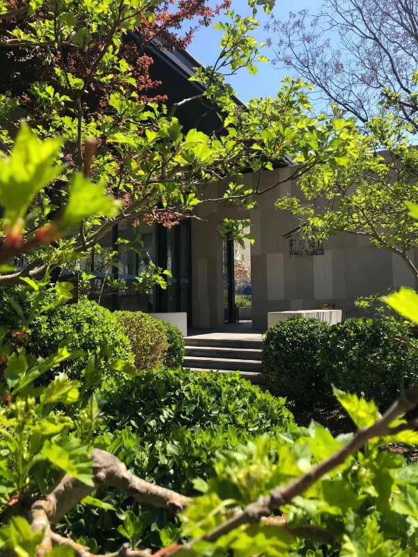 养马岛石药健康城,牟平养马岛石药健康城