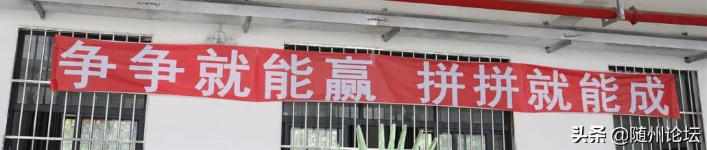 湖北曾都一中复学,好久不见武汉纪录片免费观看