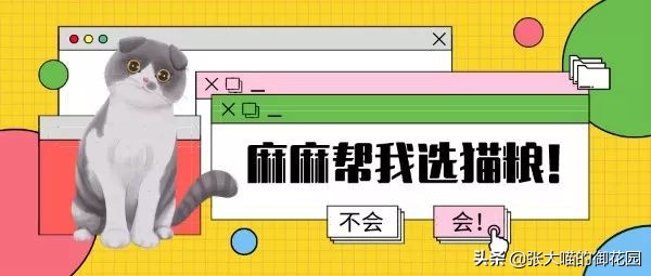 猫粮成分分析图表,如何通过猫粮成分辨别猫粮好坏