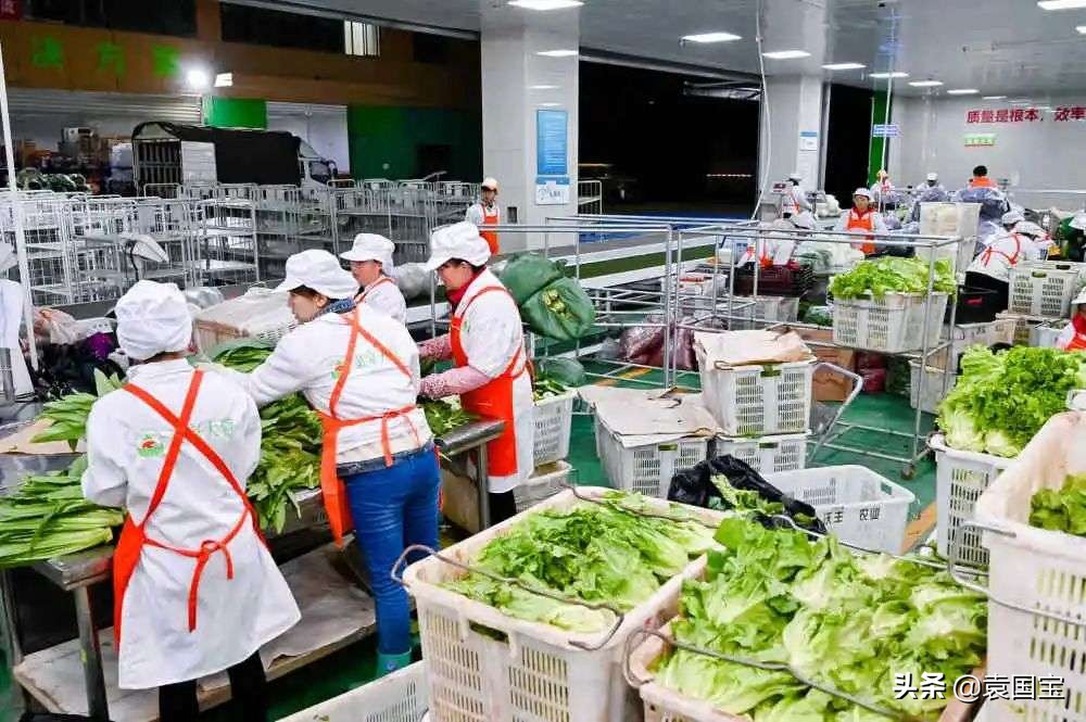 袁国宝谈网红经济,袁国宝解密泡沫