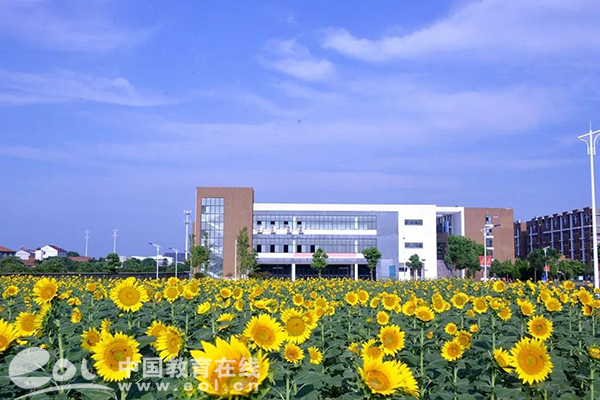 计划招生2420人！上海财经大学浙江学院2020年招生政策新变化