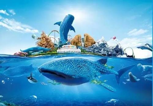 珠海长隆海洋王国官网预约,珠海长隆海洋王国英语介绍