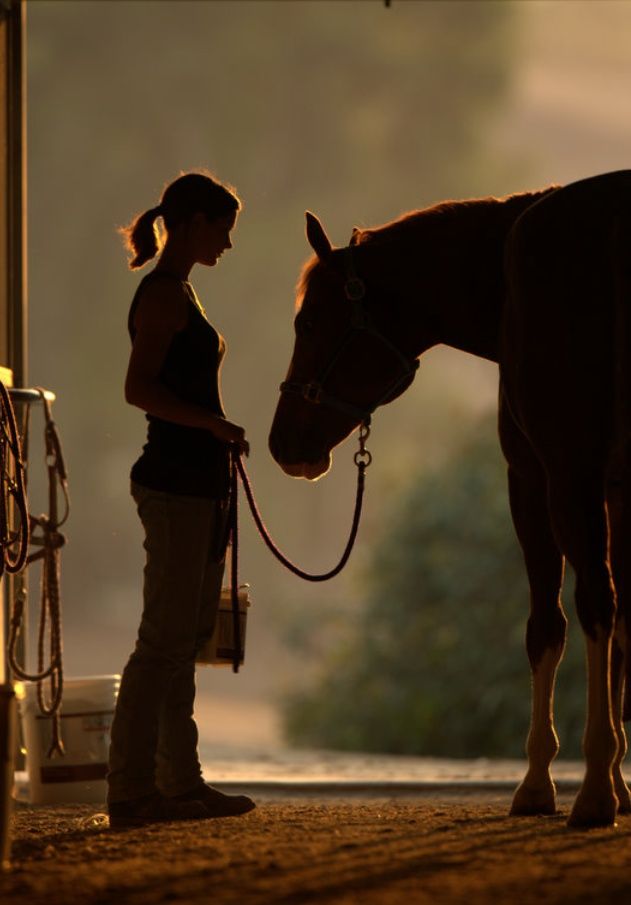 治疗心灵的9句话,最好的治愈心灵的一句话