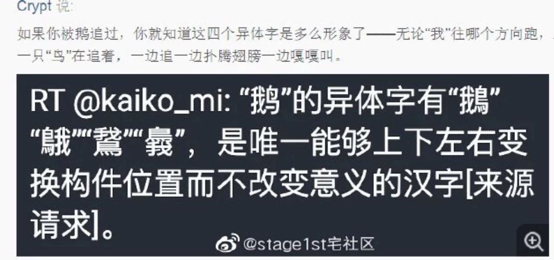 冷知识鹅,冷知识白鹅