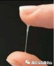 排卵试纸测不出来排卵怎么办,排卵试纸怎么测排卵最准