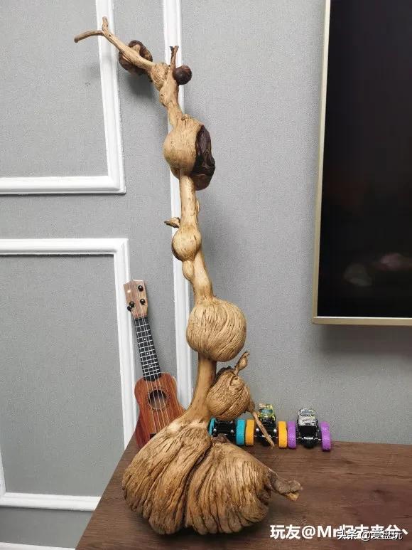 烂木头怎么样处理,烂木头有什么好方法处理