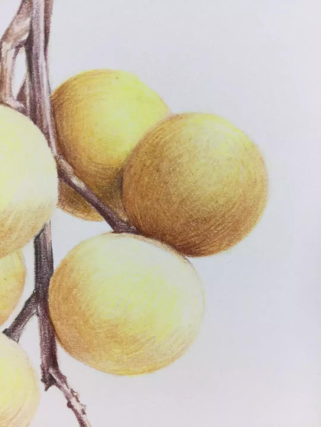 彩铅龙眼,龙眼怎么画彩铅