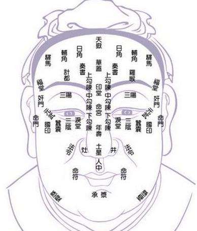 面相识人术粤语,面相论痣