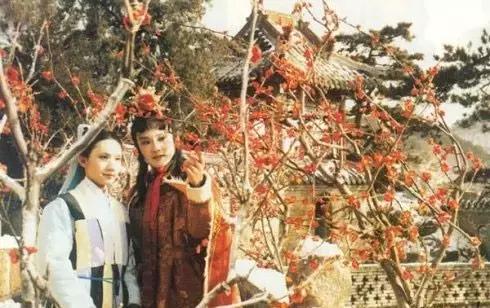 蒋勋细说红楼梦书籍推荐,蒋勋红楼梦其实是一部佛经