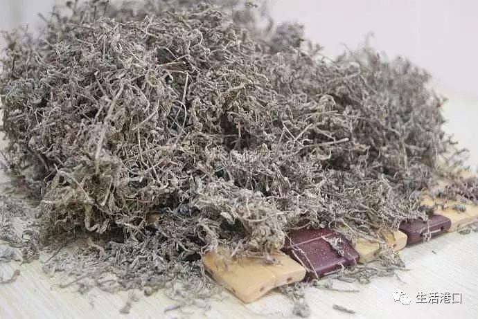 莓茶属于什么茶有什么功效与作用,莓茶与传统茶区别与功效