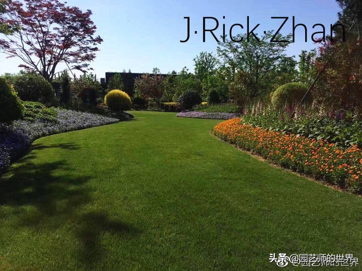 适合北方庭院种植的低矮草坪,家庭庭院怎样混搭种植草坪和蔬菜