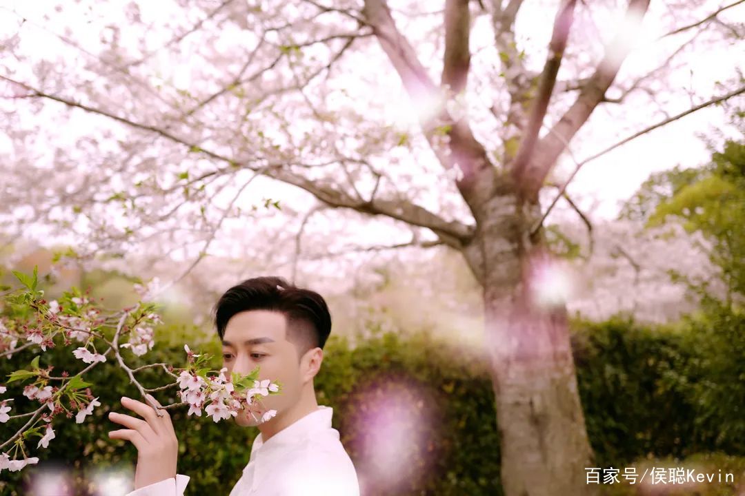 樱花皮肤补水保湿 (樱花美肌焕颜)