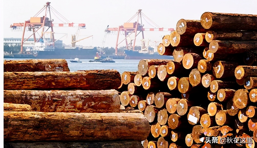 浙江越窑青瓷典型器物,宋代海外贸易发达的视频