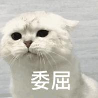 一个搞装修的80后一年能挣多少钱,建筑和装修工资差距