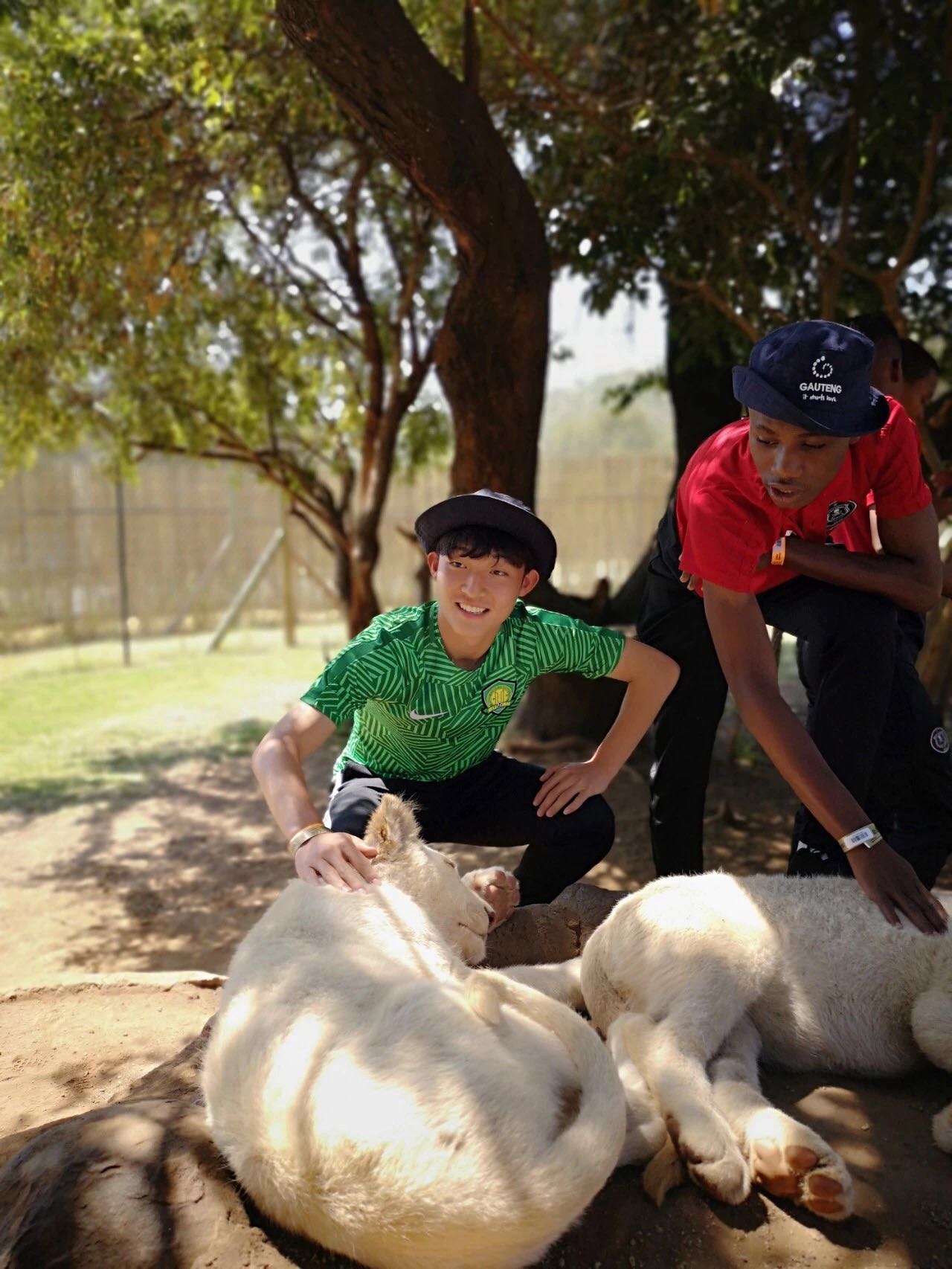 青训足球个人技术训练,青训才是王道