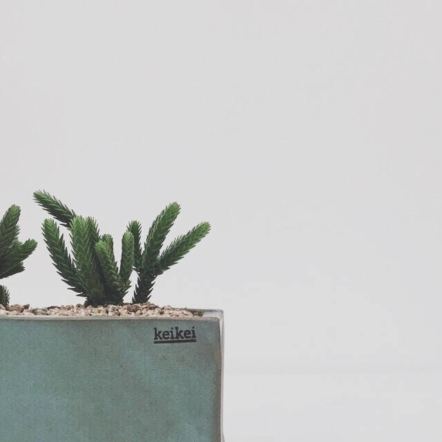 女孩子必须知道的事情,女孩子必须知道的自信和底气