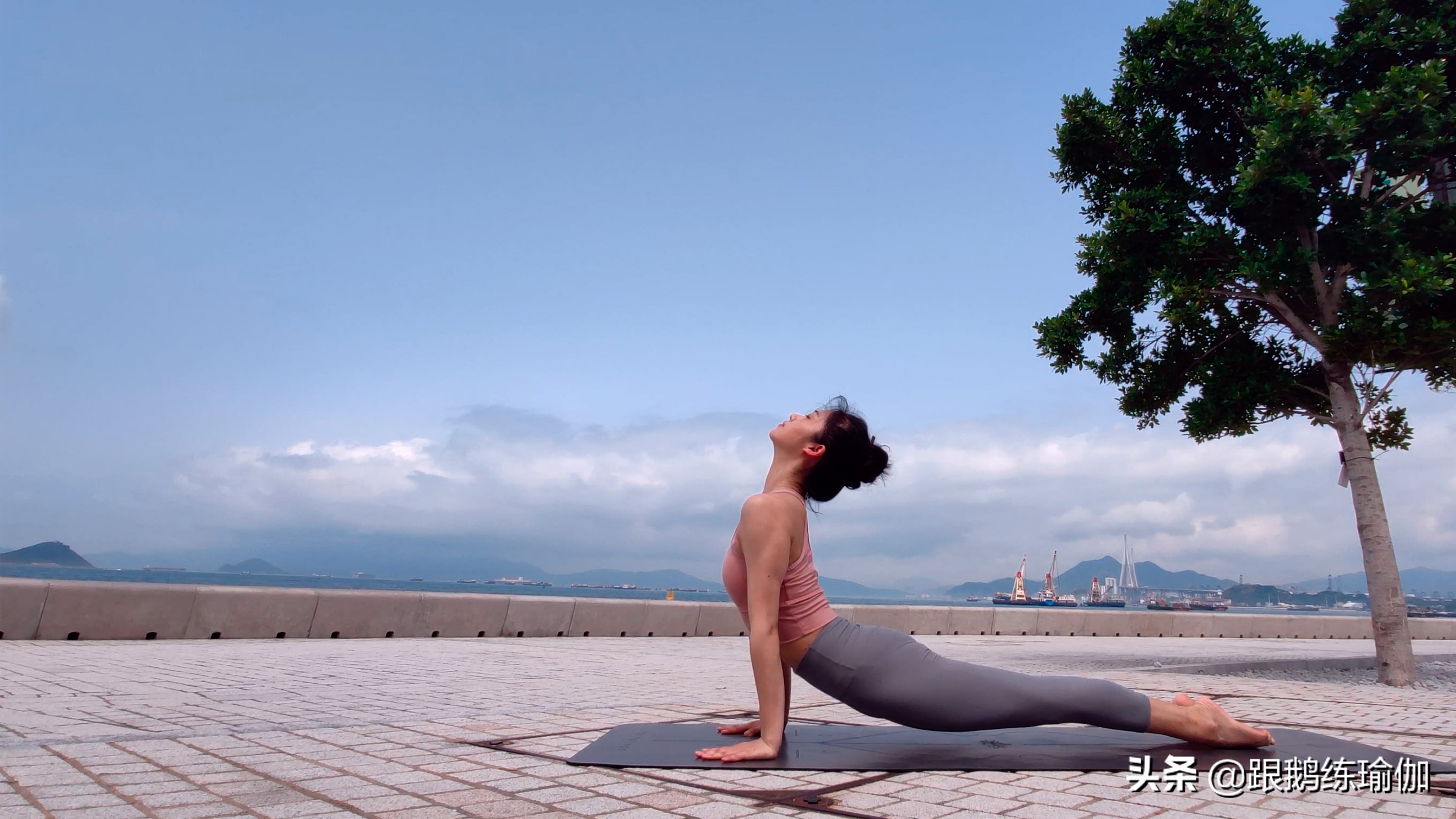 拜日a式注意要点,拜日式a完整版口令