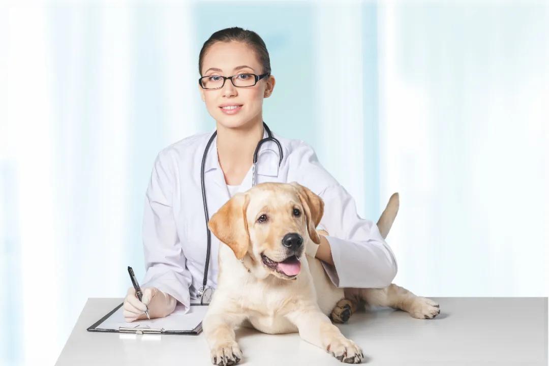 儿童耳螨最佳治疗方法,耳螨痒怎么处理