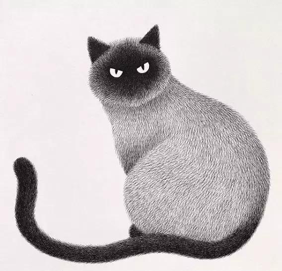 她用2元针管笔作画便惊艳了世界,他用粉笔画了一只猫