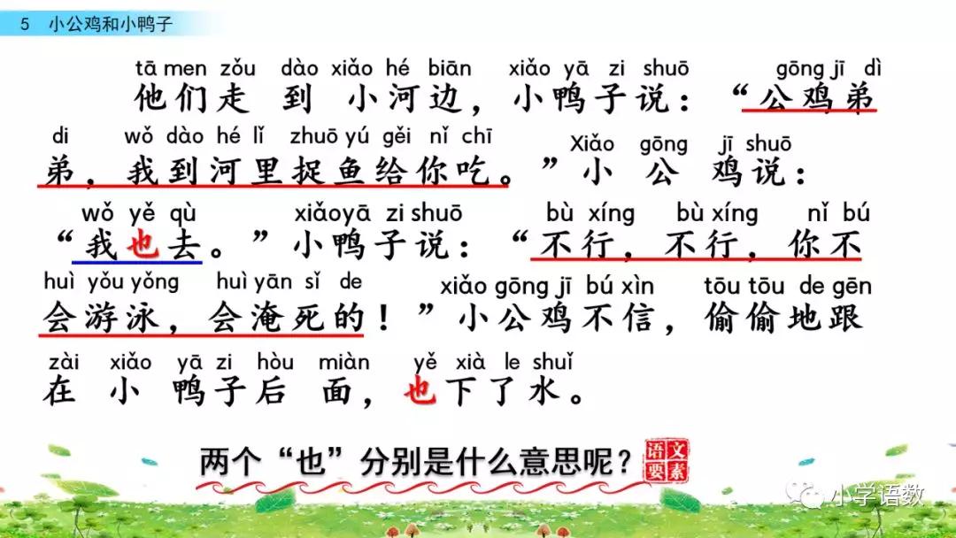 小公鸡和小鸭子一年级下册视频,一年级下语文小公鸡和小鸭子讲解