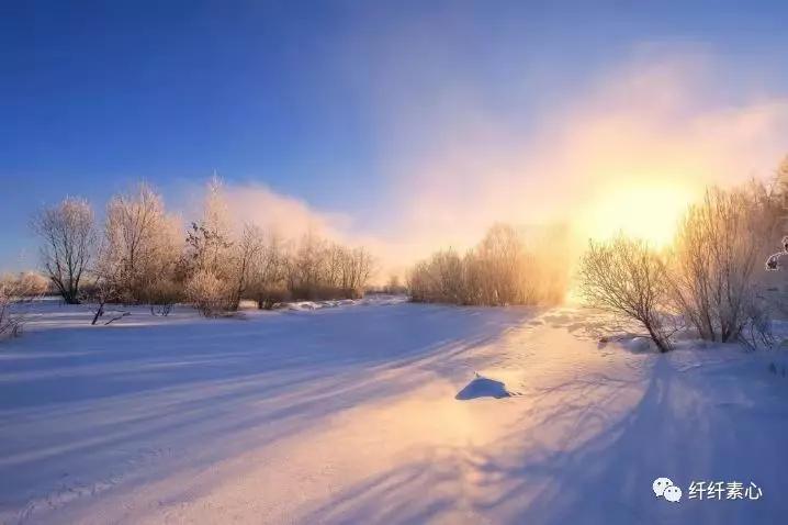 日子虽然平淡但很幸福的句子,平淡的日子就是最好的日子