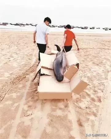 2月25日广东新鲜事:警惕!讨厌的回南天又来了!广东气温回20℃