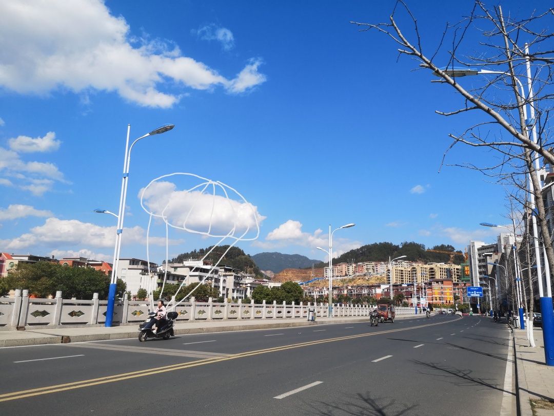 在森林里书籍,在森林中生活