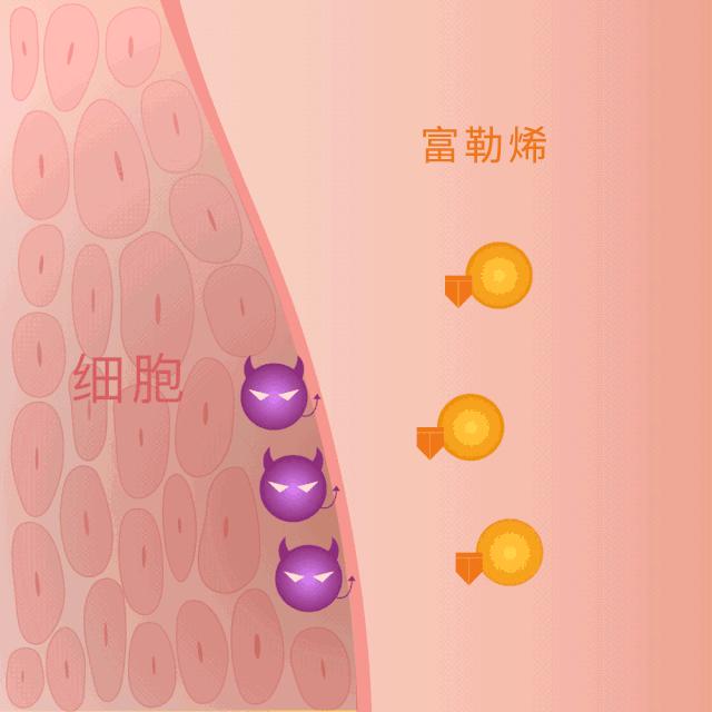 玉鑫妍化妆品有限公司,玉鑫妍护肤品价格表