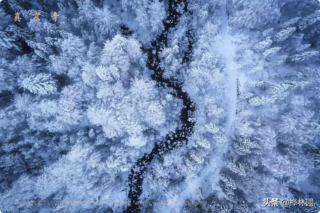 文殊菩萨道场五台山简介,忻州五台山清凉圣境客栈