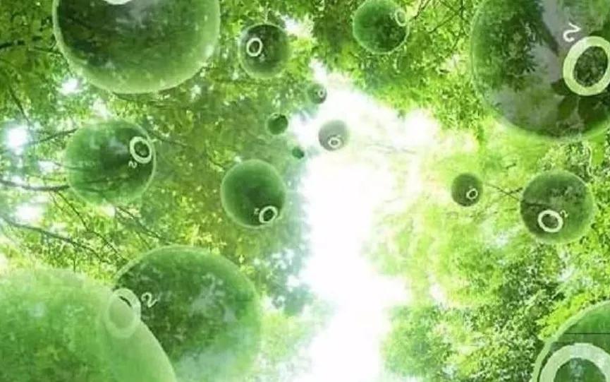 世界慢阻肺日的症状,慢性阻塞性肺炎正确的治疗措施