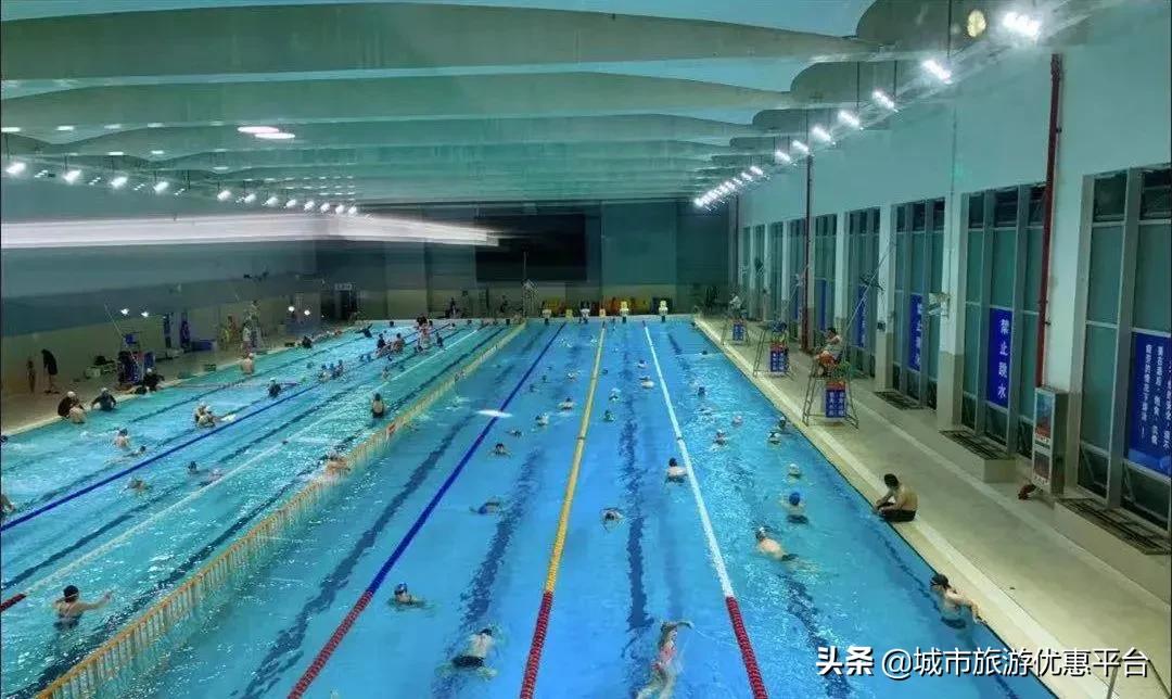 收藏游泳视频下载,冬季游泳大全