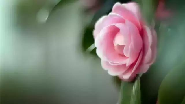 耶稣讲人生的意义,耶稣说每个人都是有罪的需要赎罪