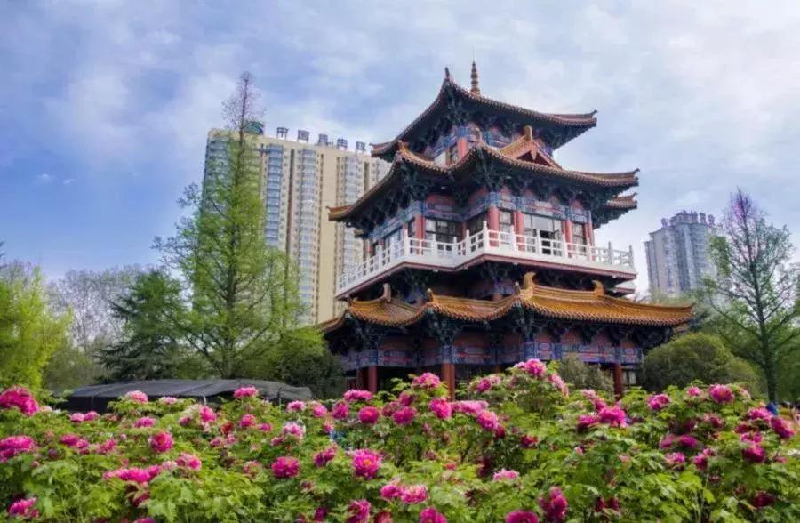 一个正在崛起的区域,一个崛起的城市