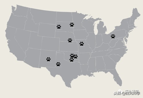 真正的狼灭：美国农场主一夜*击狙**45只郊狼，全套黑科技开挂了