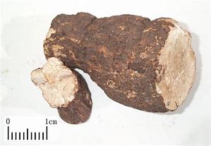 中药熏蒸熏完两次的效果,中药熏蒸吸入疗法